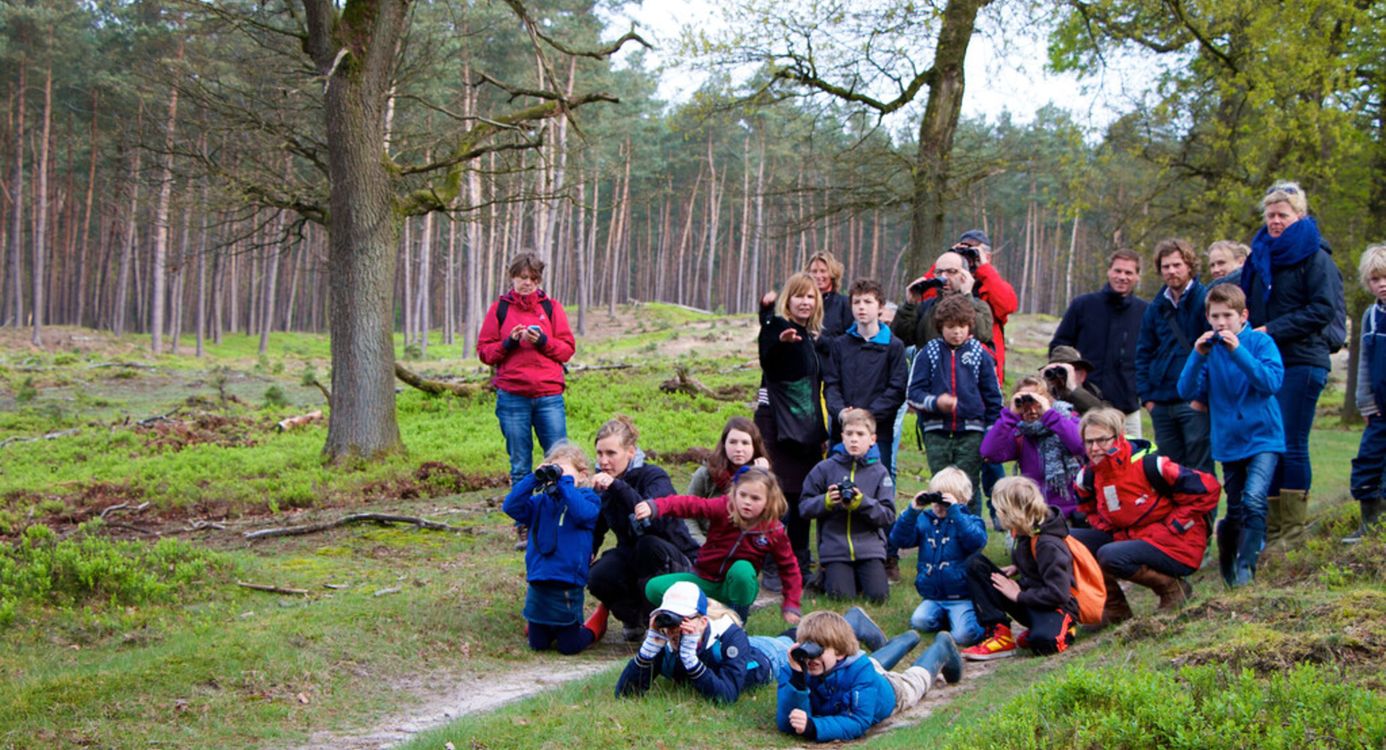 Excursie op de Veluwe