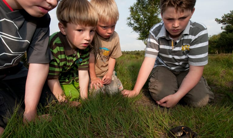 lente beleven