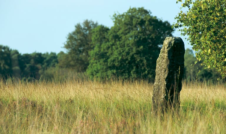 Markepaal Buurserzand
