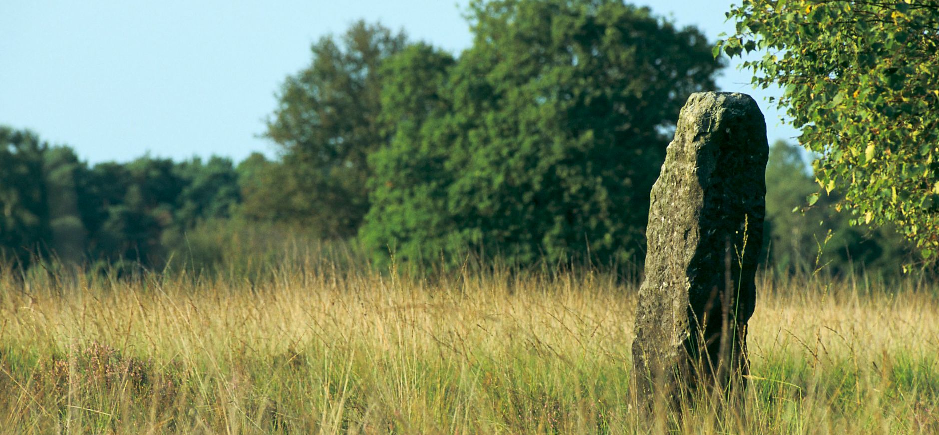 Markepaal Buurserzand