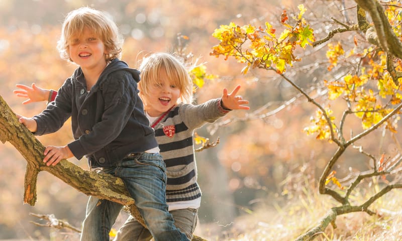 Kinderen in het bos