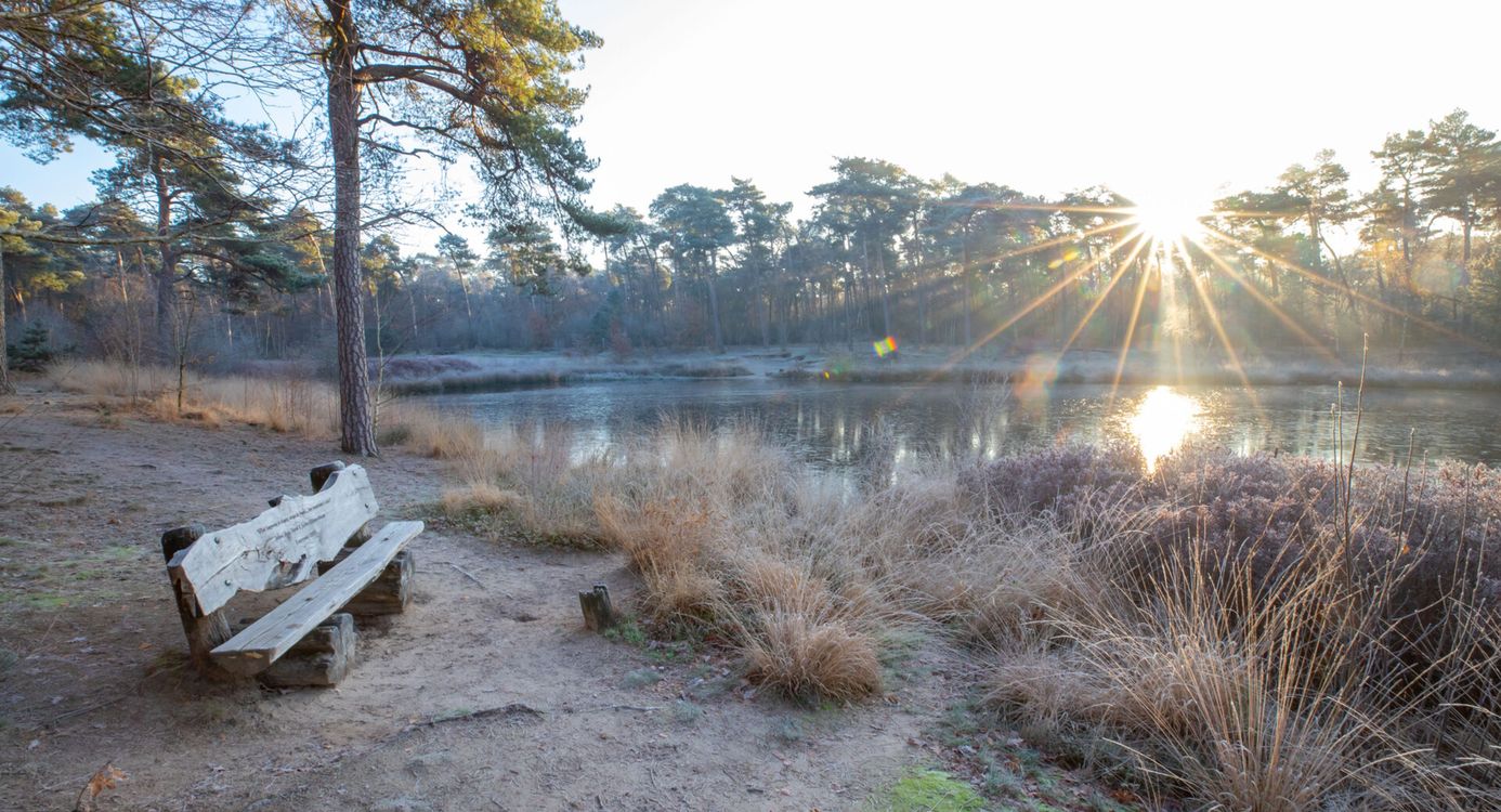 Bankje bij een van de Oisterwijkse vennen