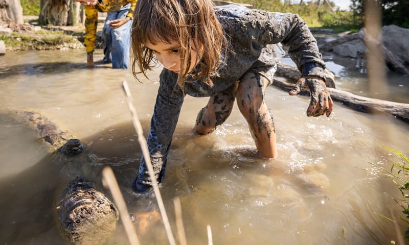 Speelnatuur van OERRR