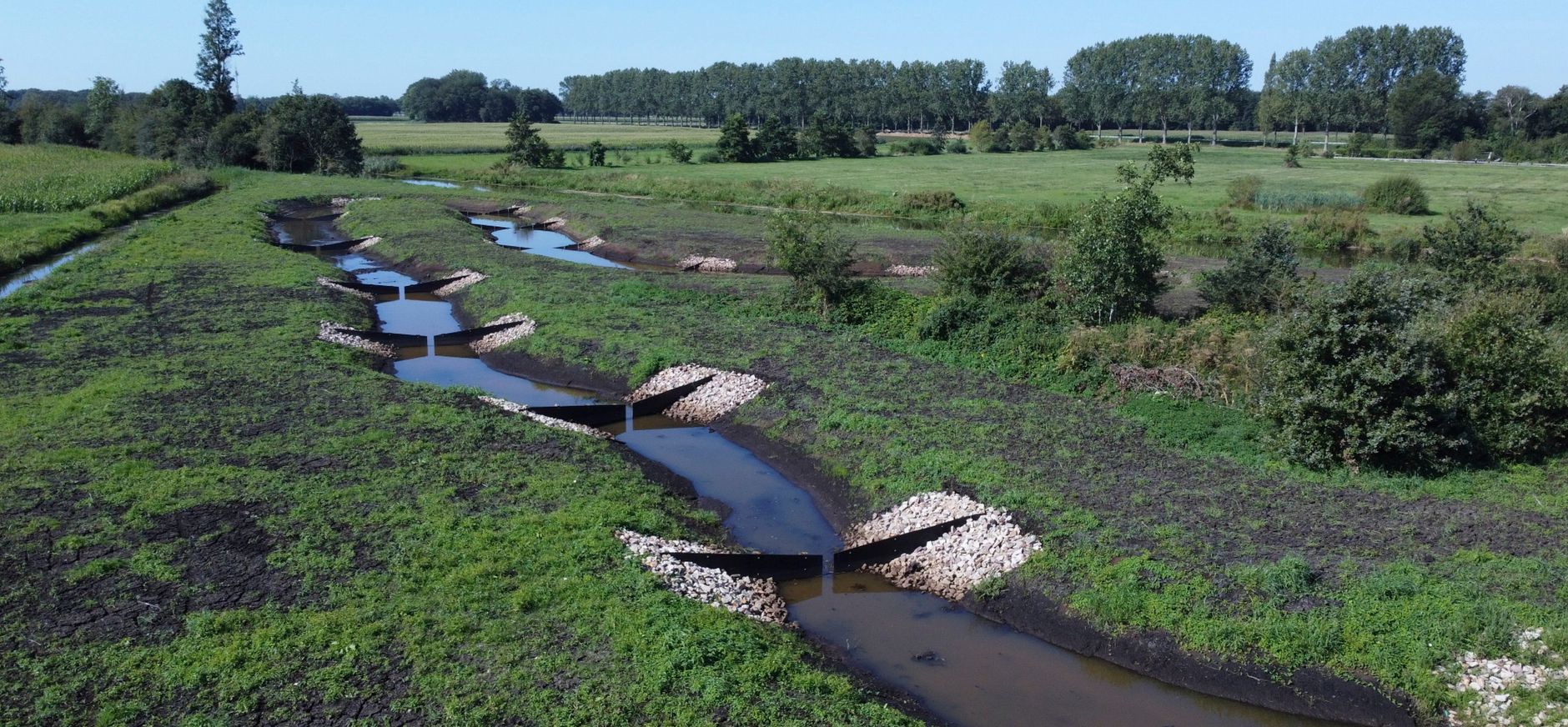 Koningsschut vistrap