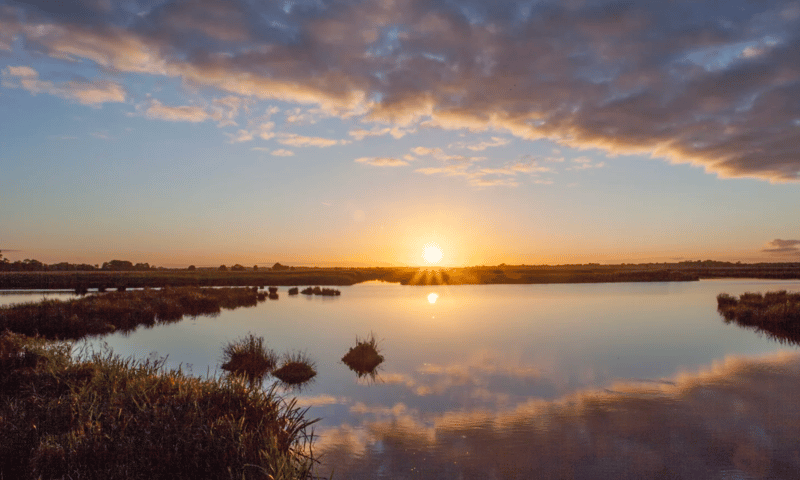 Wandelen in de Onlanden 