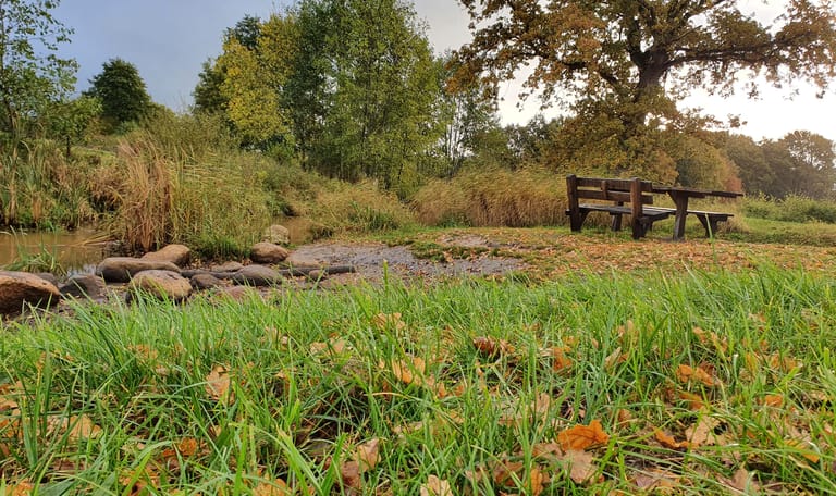 beleefpad smeerling