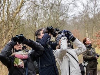 een groepje mensen kijkt door verrekijkers omhoog