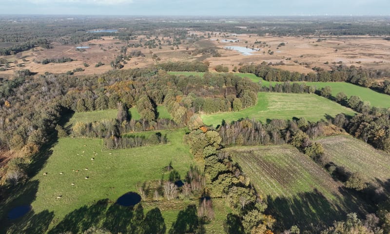Balsvoort vanuit de lucht met op de achtergrond de hei Balsvoort vanuit de lucht met op de achtergrond de hei