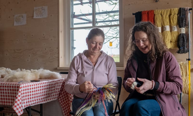Wolvrijwilligers Belevenisboerderij Schieveen