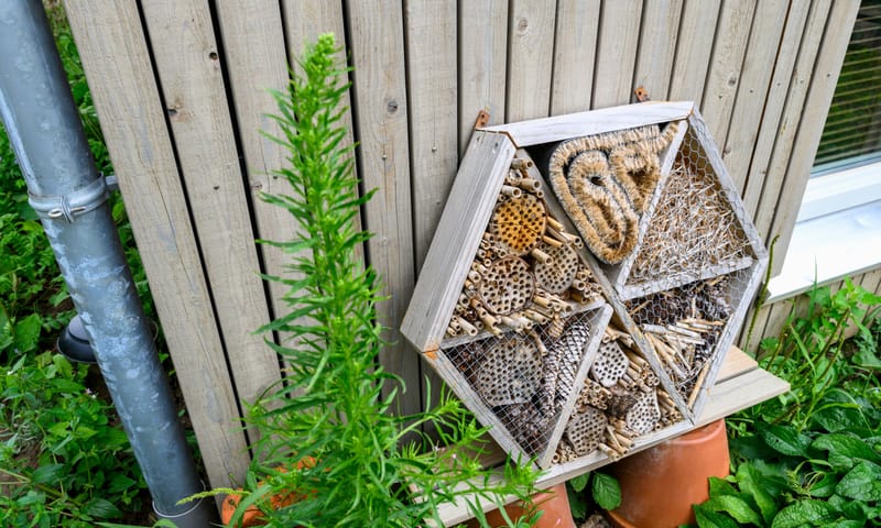 insectenhotel