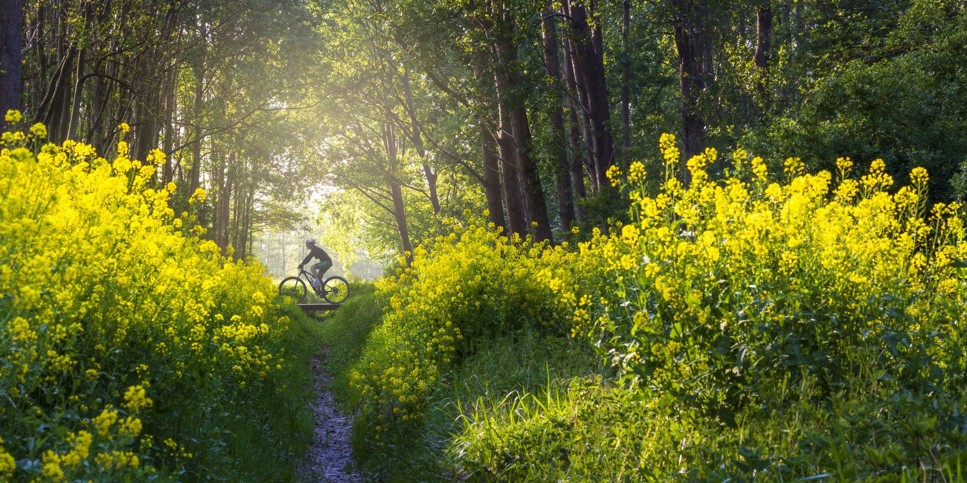 MTB-vignet 2025