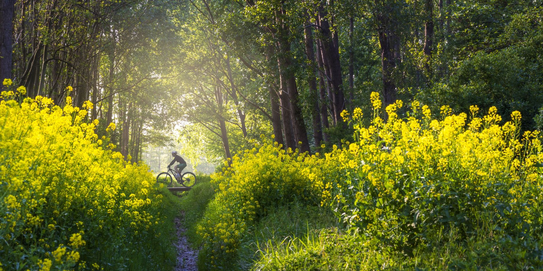 MTB-vignet 2025