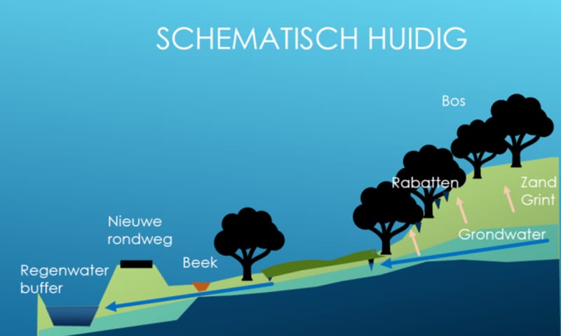 Huidige situatie zonder kwelscherm Huidige watersituatie zonder kwelscherm