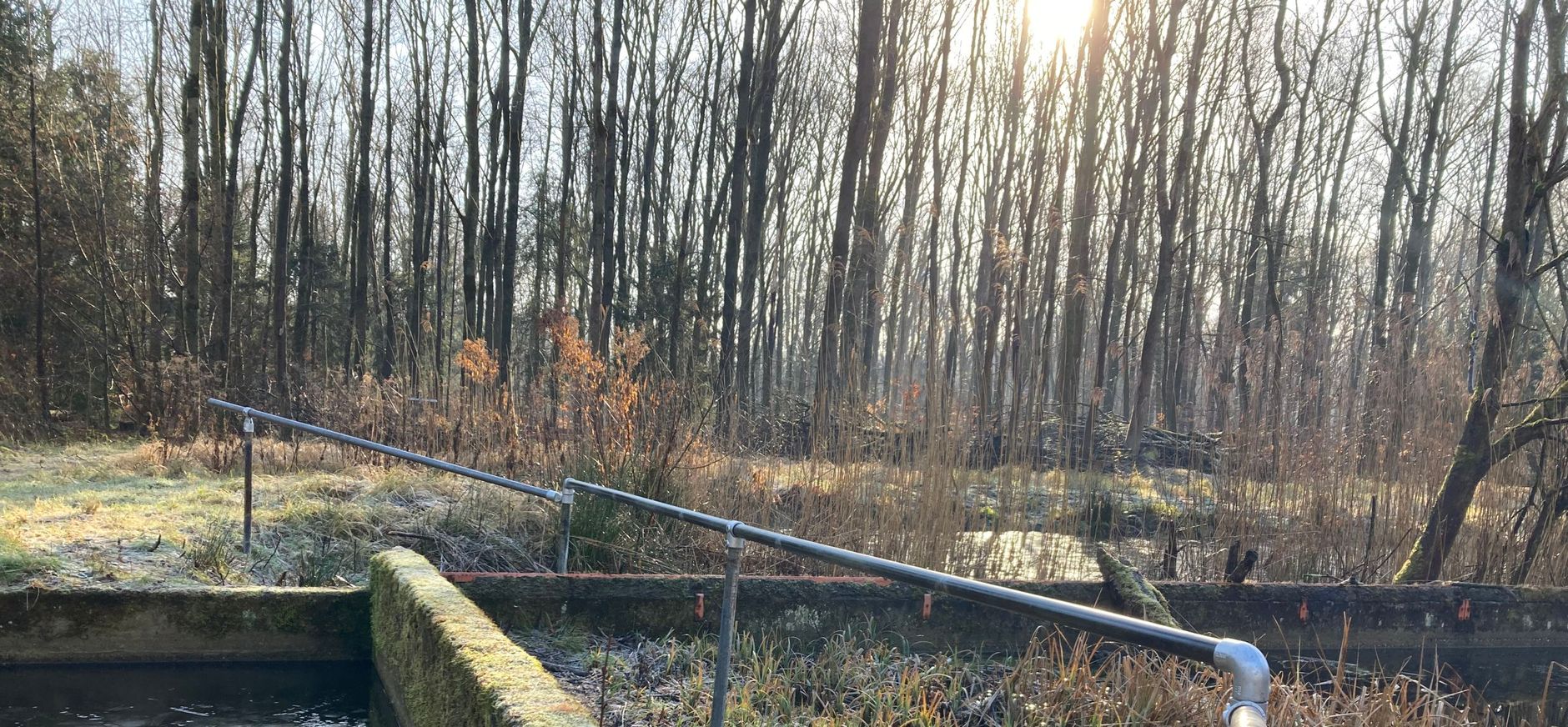 Nieuwe wandelroute Waterloopbos