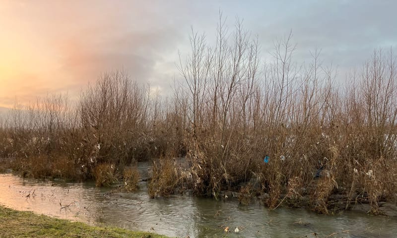 plastic in riviernatuur