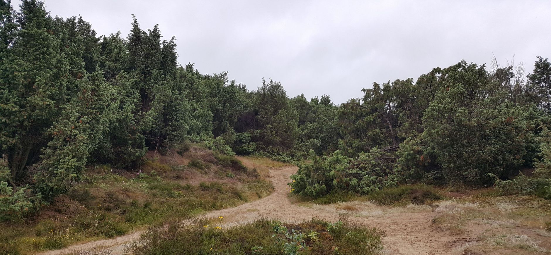 Mantingerveld Mantingerveld