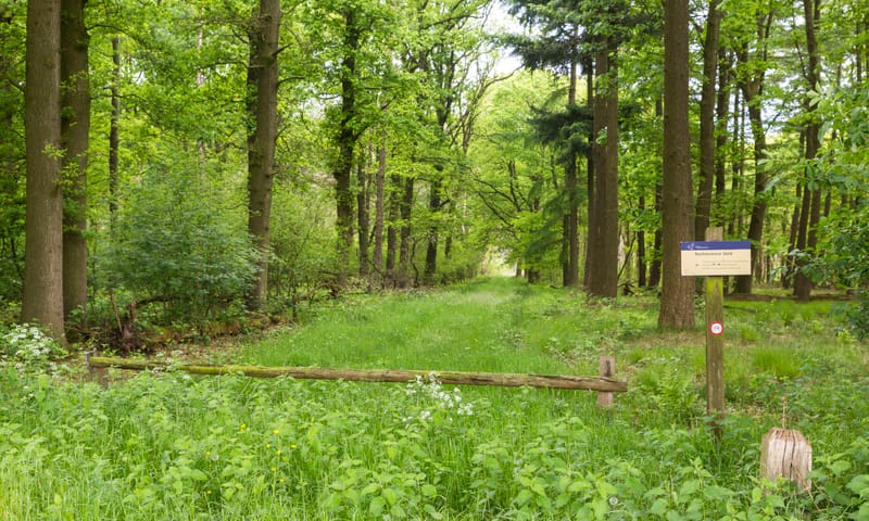 Rechterense Veld Rechterense Veld laan
