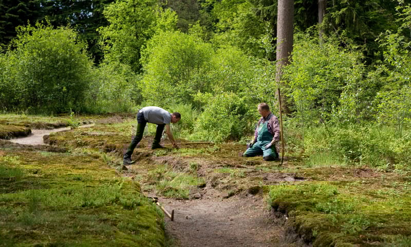 Landgoed Eerde, kasteeltuin Landgoed Eerde, kasteeltuin