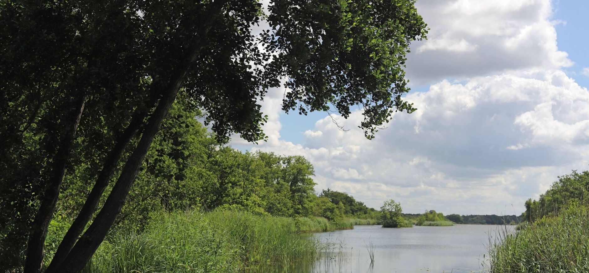 ankeveense plassen