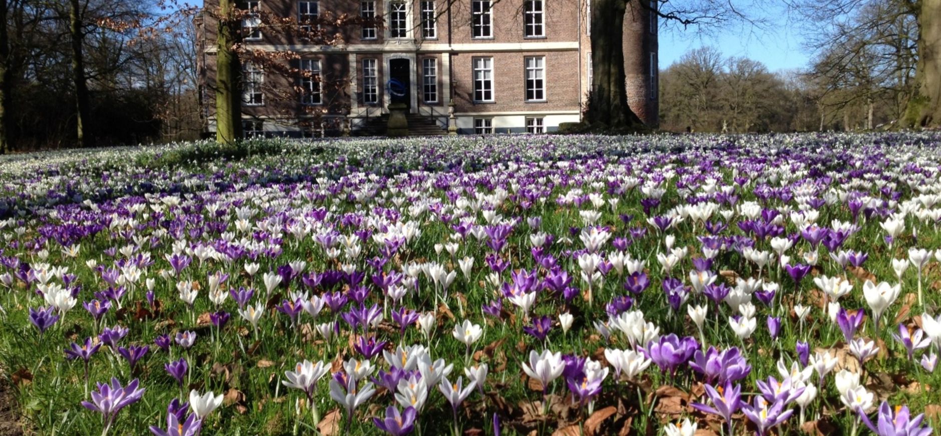 Op 9 maart ben je welkom op het voorplein van kasteel Hackfort om van de duizenden voorjaarsboeiers te genieten Op 9 maart ben je welkom op het voorplein van kasteel Hackfort om van de duizenden voorjaarsboeiers te genieten