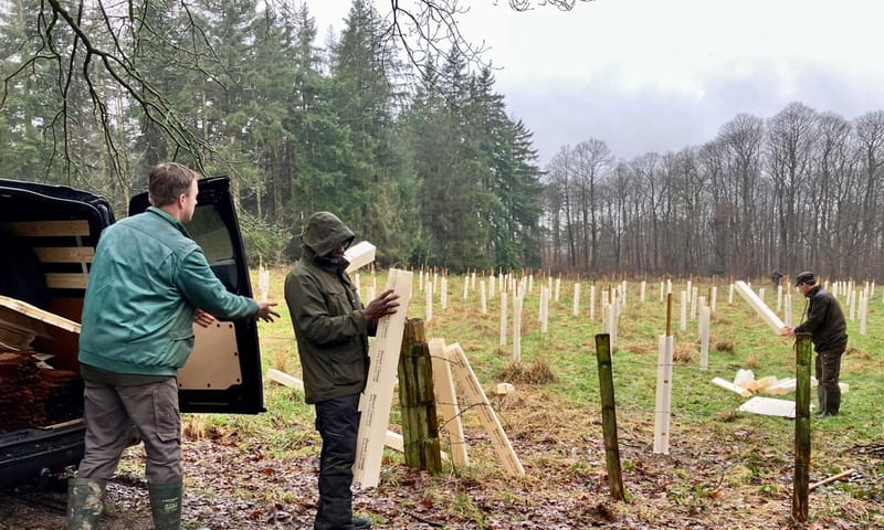 Plantkokers plaatsen Landgoed Mookerheide Plantkokers plaatsen Landgoed Mookerheide