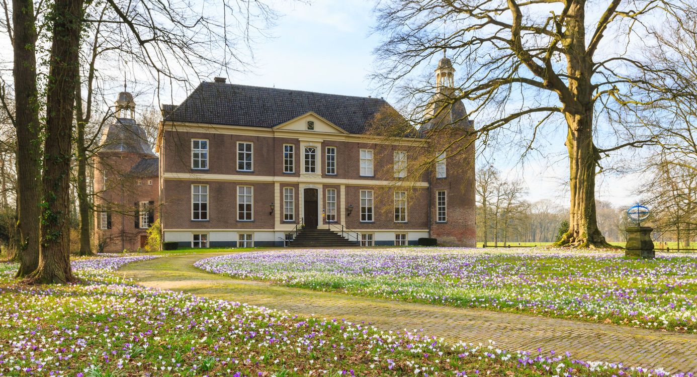 Kasteel Hackfort met op de voorgrond bloeiende krokussen