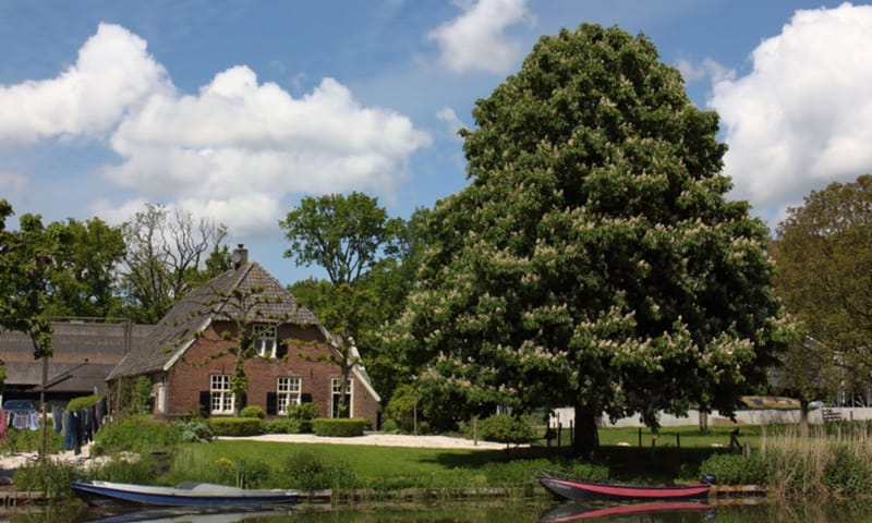 Boot bij Amelisweerd Boot bij Amelisweerd