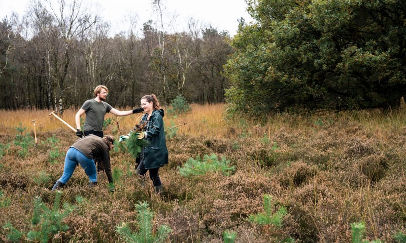 Aan het werk in de natuur