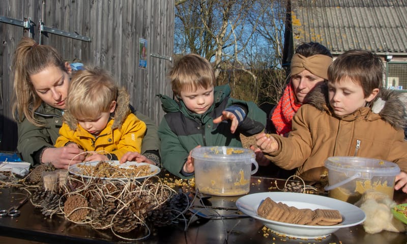 vogelsnacks maken