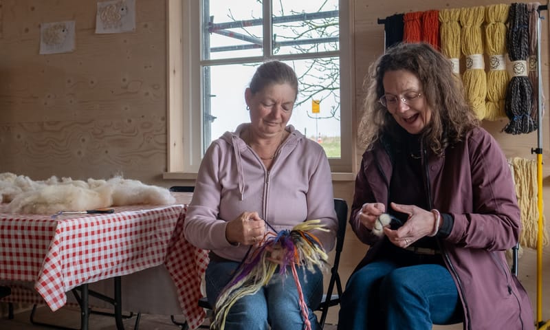 Wolvrijwilligers Belevenisboerderij Schieveen