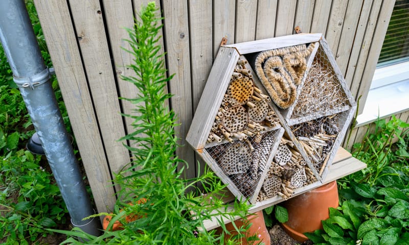 insectenhotel
