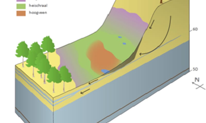 Gebiedsprofiel Breukberg - gebied in doorsnede