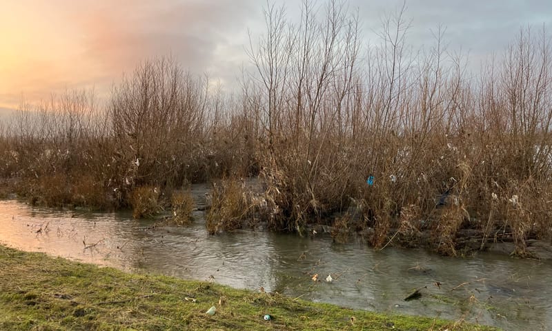 plastic in riviernatuur
