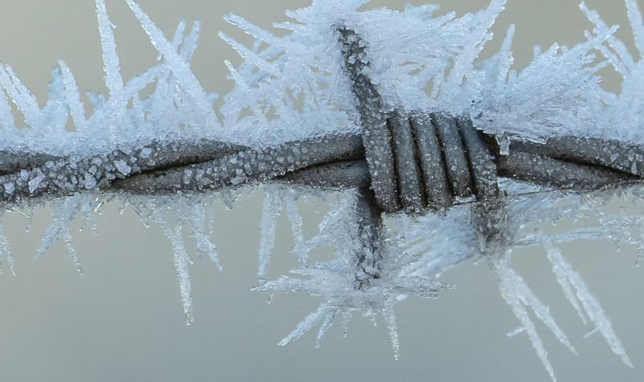 Prikkeldraad - januari - Foto van de maand