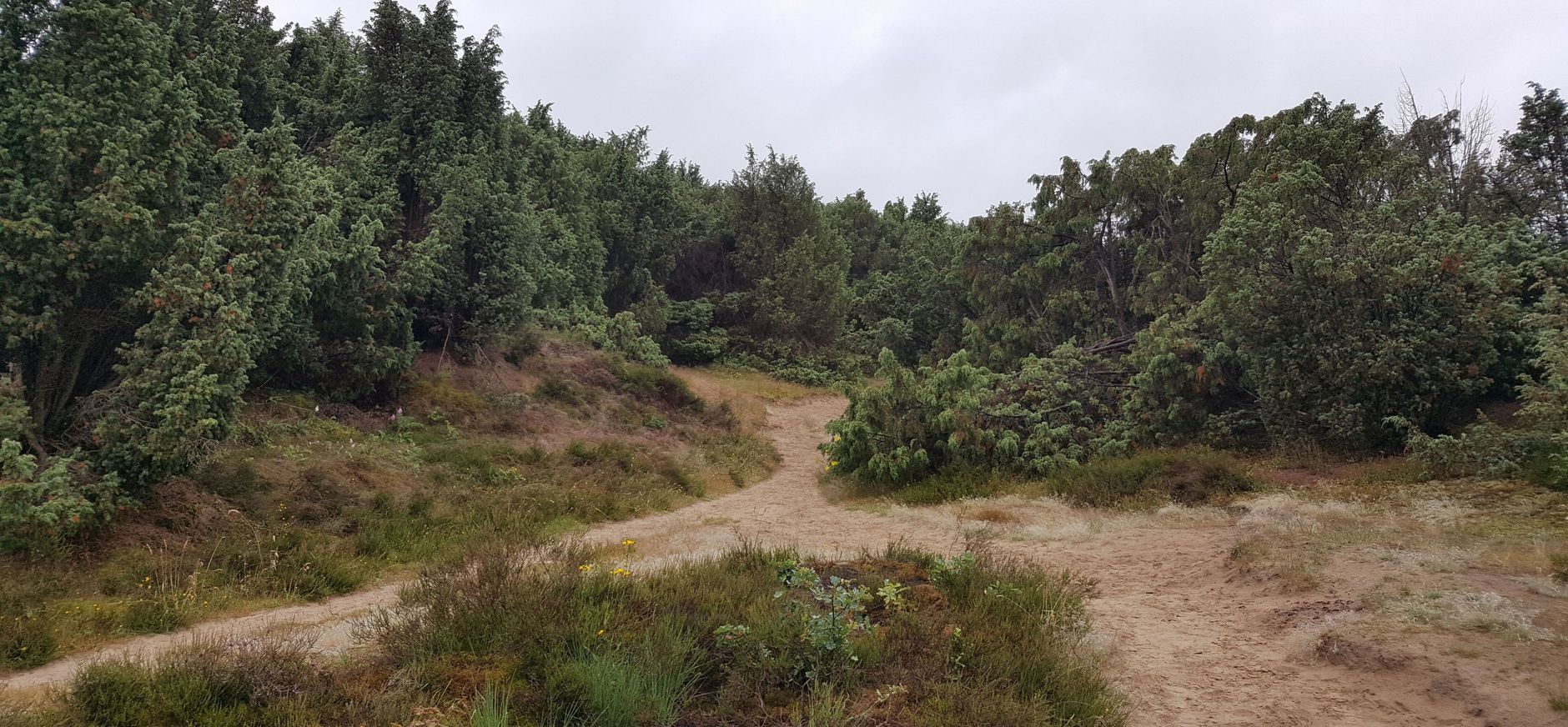 Mantingerveld Mantingerveld