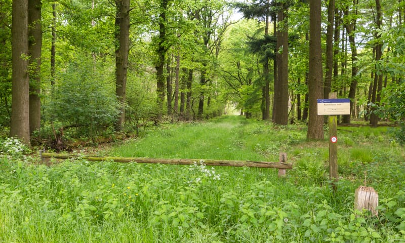 Rechterense Veld laan