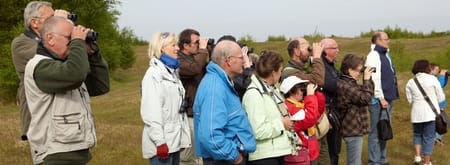 Vroege vogel excursie Vroege vogels