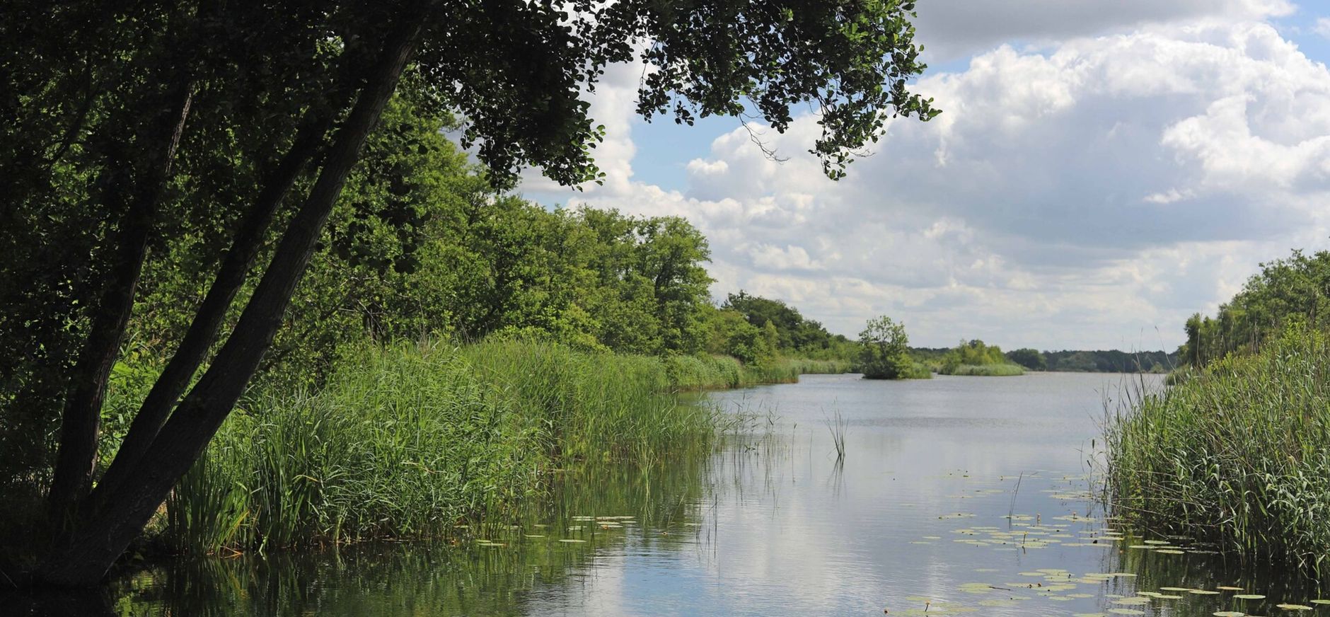 ankeveense plassen