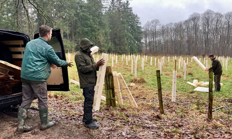 Plantkokers plaatsen Landgoed Mookerheide