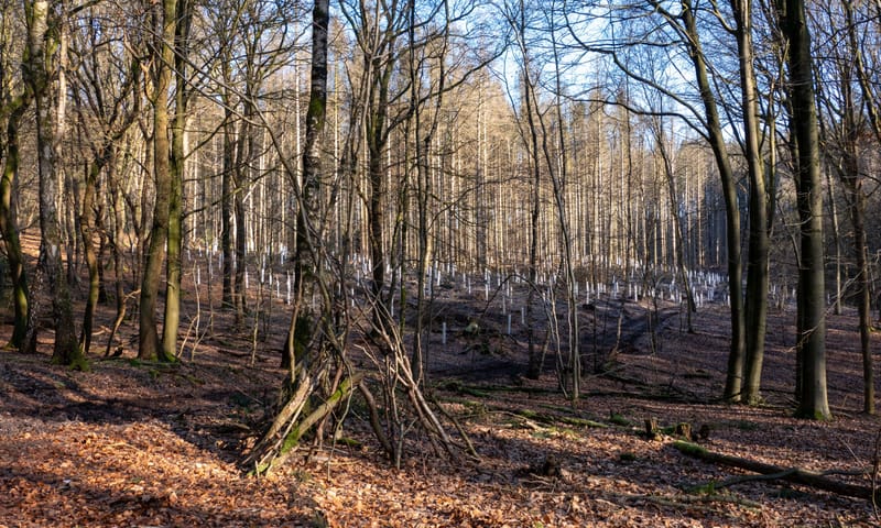 Plantkokers plaatsen Landgoed Sint-Jansberg