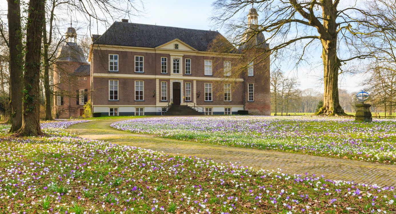 Kasteel Hackfort met op de voorgrond bloeiende krokussen
