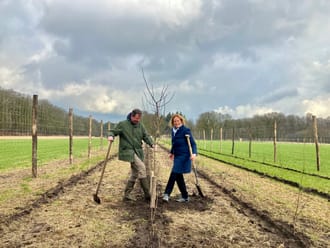 Aanplant van houtsingels op de Pessaert