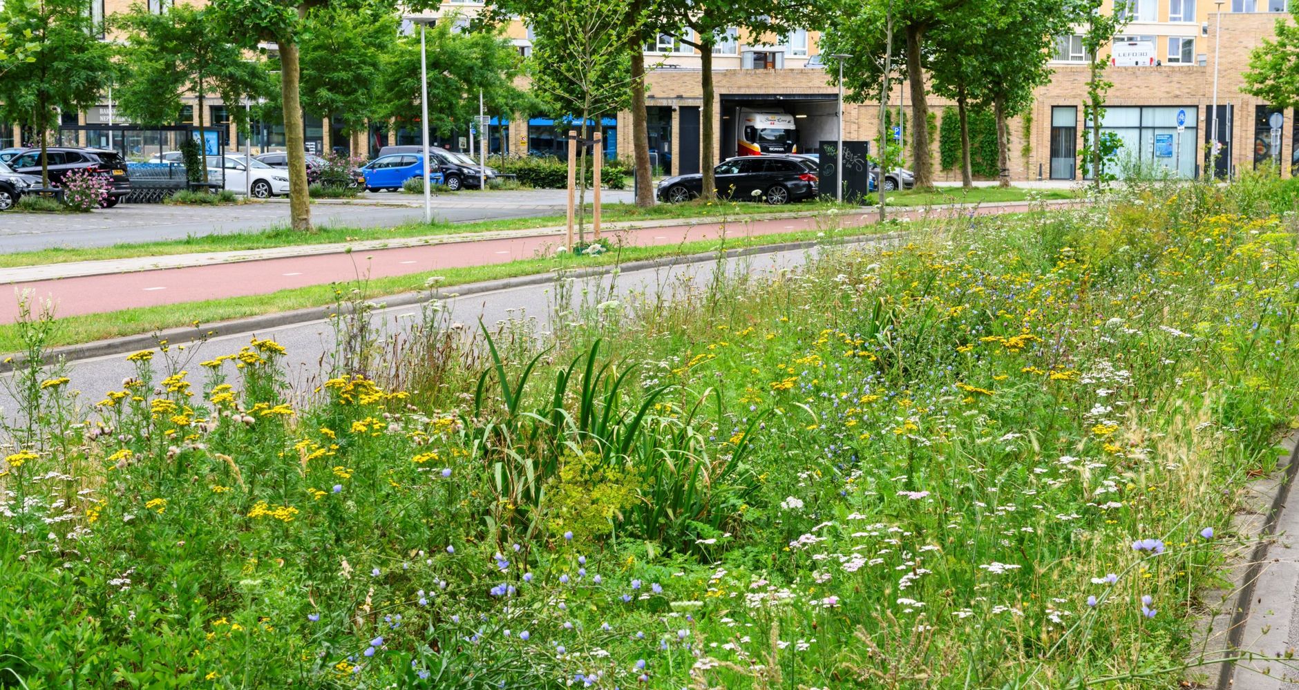Groene berm in de buurt