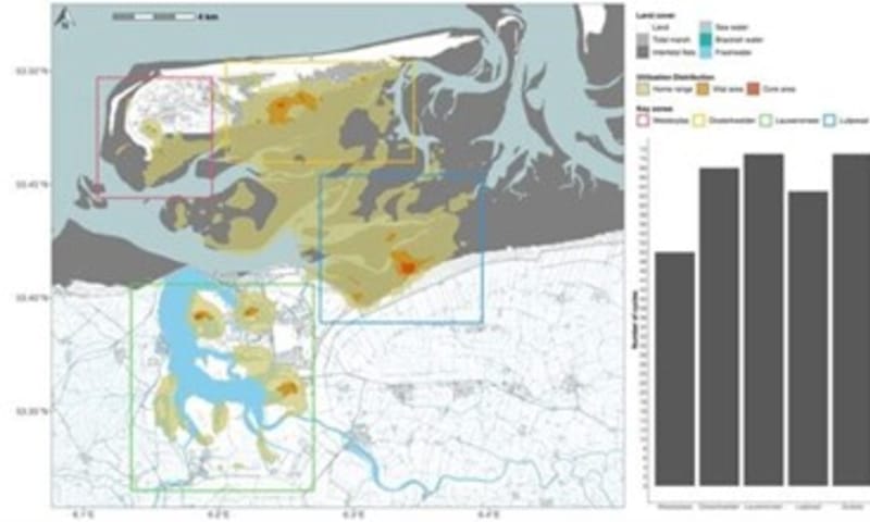 Kaart lepelaars Schiermonnikoog