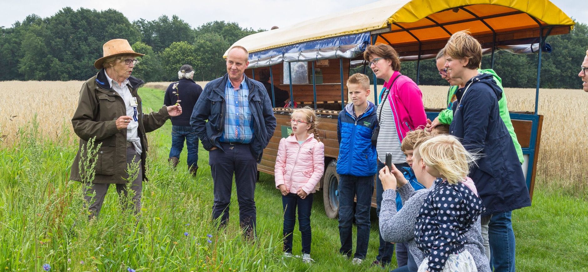 Huifkartochtexcursie in het Dwingelderveld