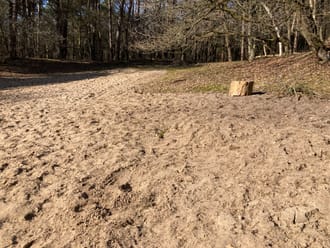 stuifzand
