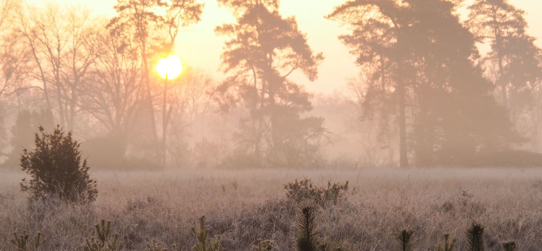 buurserzand zonsopkomst buurserzand zonsopkomst