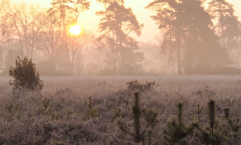 Buurserzand zonsopkomst Buurserzand zonsopkomst