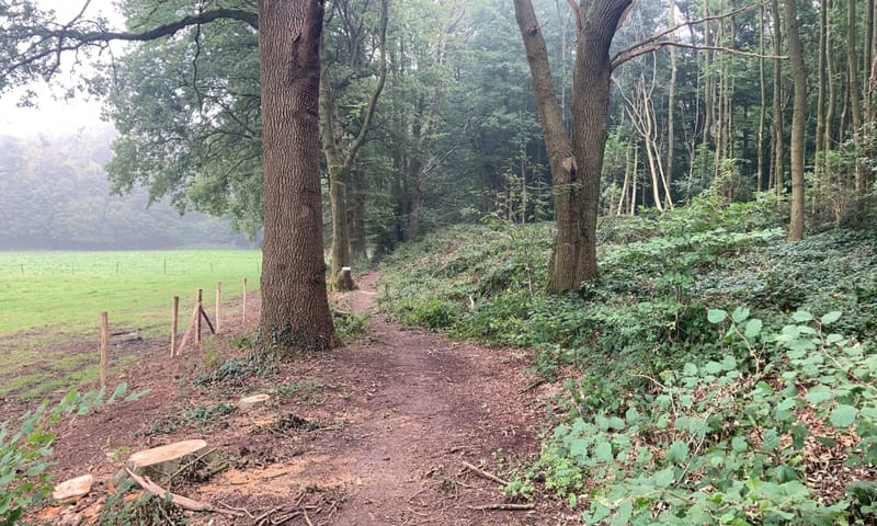 Open bosranden voor het Imstenraderbos Bosrand van het Imstenraderbos, op de voorgrond zijn bomen verwijderd