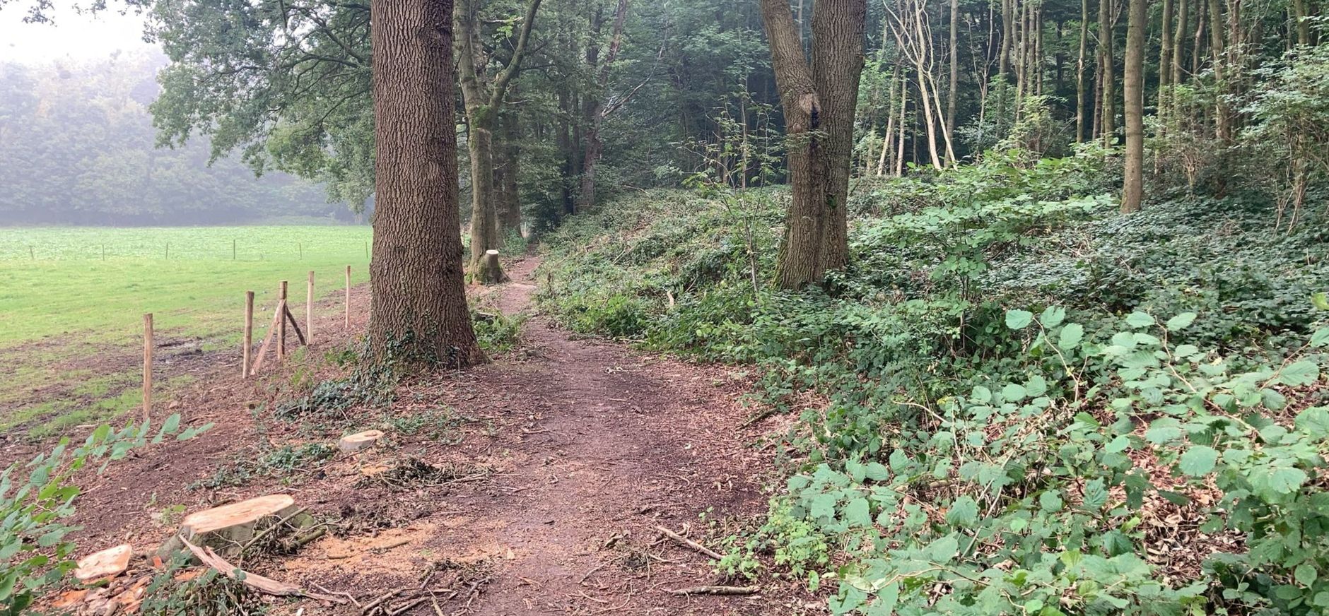 Open bosranden voor het Imstenraderbos Bosrand van het Imstenraderbos, op de voorgrond zijn bomen verwijderd